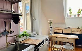 Big, Bright Apartment In The Center Of Zagreb